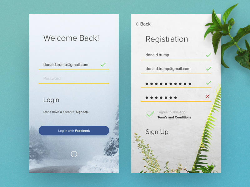 Login & Registration by Vladyslav Muzychenko on Dribbble