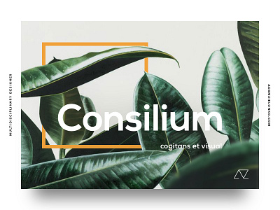 Designer's Card card design designer minimal nature palm plant scandinavian ui ux