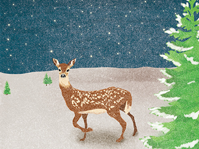 The Grace christmas doe fawn greeting cards holiday landscape postcards scenery snow starry sky tale winter