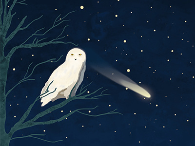 The Wisdom christmas comet holidays owl postcards sky starry stars tales white winter wisdom