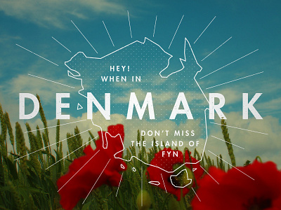 When In Denmark denmark photo poppy vintage
