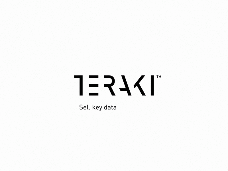 Teraki brand identity branding construction design gif identity logo motion startup