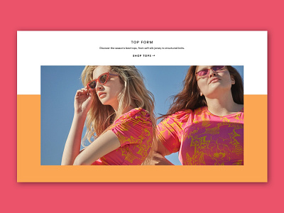 Tanya Taylor design shopify ui ux web website website design