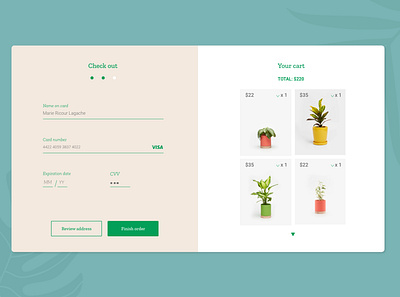 Check out cart checkout checkout web creditcard dailyui dailyui 002 plants products
