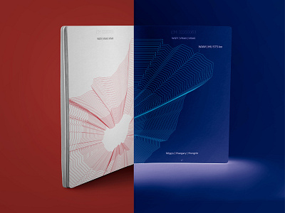 regular vs UV view of a passport