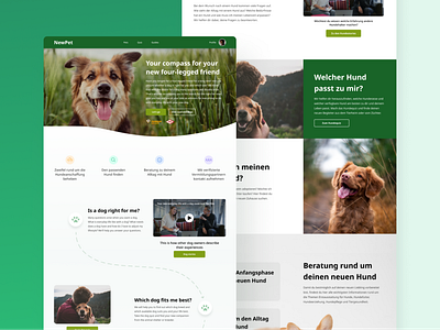 Pet Finder website design adaptive design design graphic design mobile prototyping service ui uiux ux web
