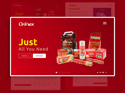 Orinex Landing page version 2