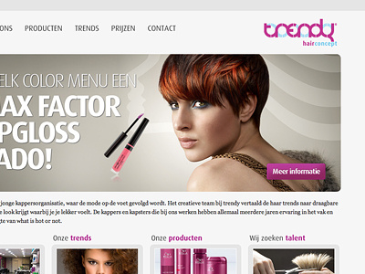 Trendy Hairconcept dutch hair salon the netherlands trendy