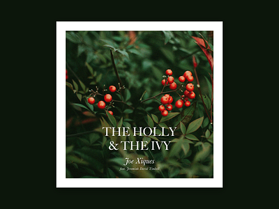 The Holly and the Ivy album art christmas greenery holly