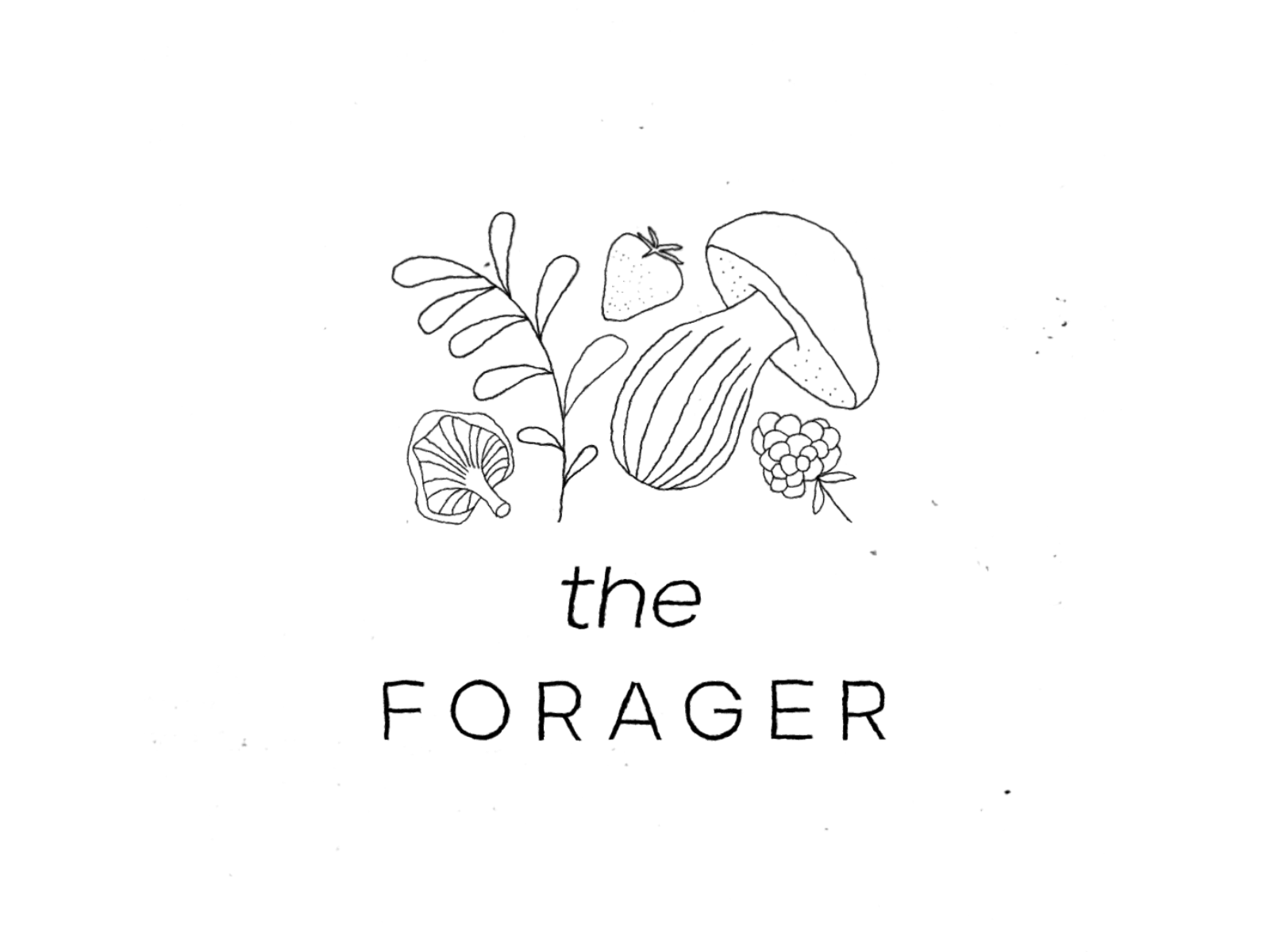 The Forager Logo Animation adobeaftereffects animation branding design graphic design illustration logo logo and branding logoanimation logodesign logos motion graphics motiongraphics