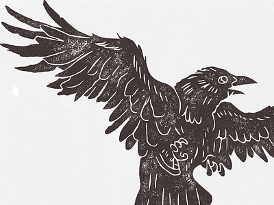 Crow - Rough Draft crow illustration negative negative space texture vintage