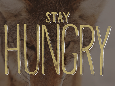 Stay Hungry free hand drawn hand lettering handlettering lettering texture type typeface vintage