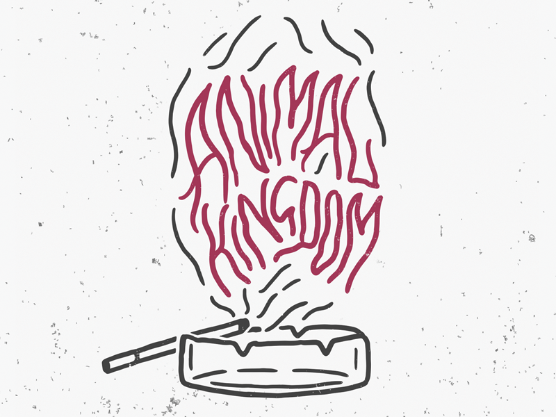 Animal Kingdom animal animal kingdom timelapse video youtube texture illustration lettering typography type