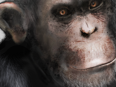 Monkey See bananas chimpanzee illustration monkey wacom