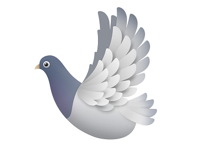 Pigeon bird coo illustration pigeon vector wings