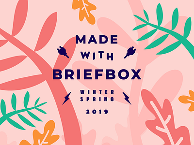 Made With Briefbox Winter-Spring 19 brand briefbox fun illustration lettering website
