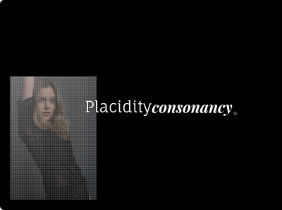 Placidity consonancy logo logo design logotype logotype design sans sanserif typography