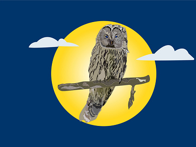 owl