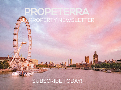 Propeterra UK Property Newsletter housing illustration newsletter design ui uk