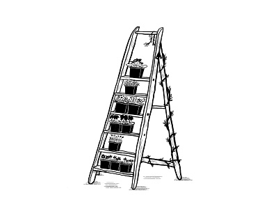 ladder