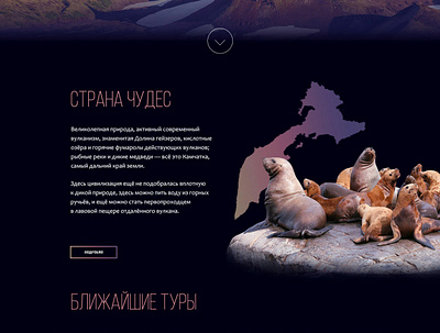 Kamchatka landing design landing page minimal ui ux web web design website