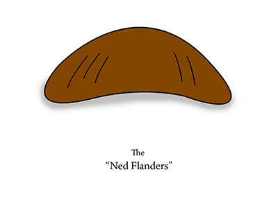 The Hairy Face of Hollywood - Ned Flanders collection illustration photoshop vector