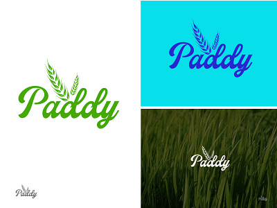 Paddy logo branding design illustration line art logo logo logodesign logos symbol logo typography ui