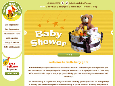 Turtle Baby Gifts branding cms logo design responsive responsive website wordpress