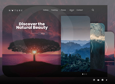 discover the natural beauty design icon logo minimal minimalist ui ui design user inteface ux web webdesign