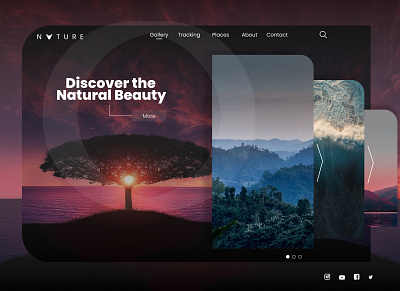 discover the nature beauty ver 2 branding design flat logo ui ui design ux webdesign