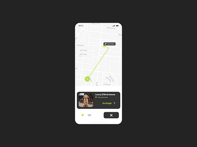 Location Tracker - DailyUI #020 app dailyui designer dog graphicdesign logo ui uiux ux webdesign website