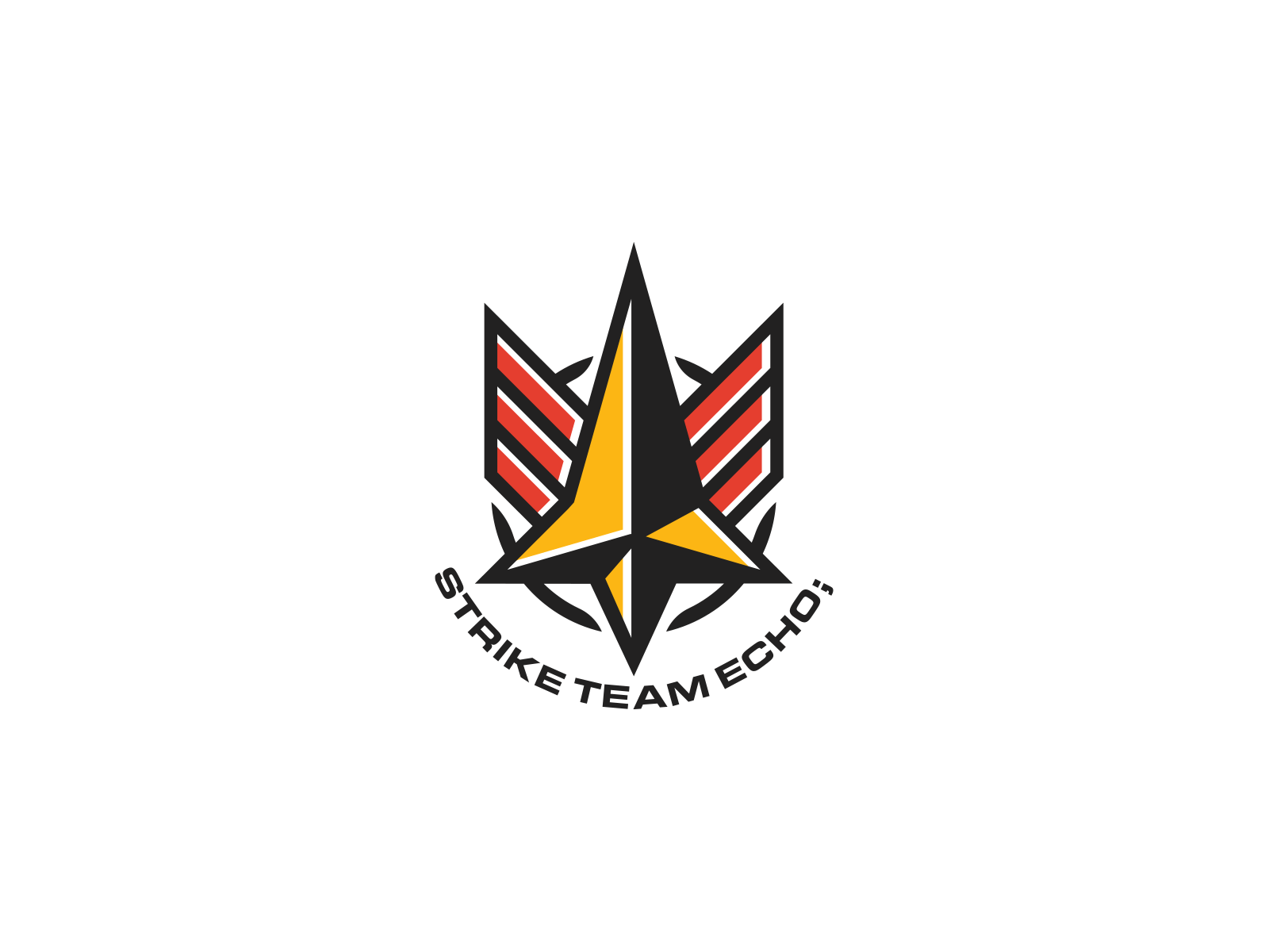 Strike Team Echo air force airplane badge brand coding dev echo flying identity logo logo design military patch pin strike team