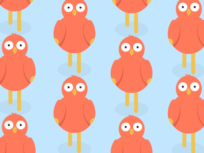 The Walking Birds animation bird flat gif illustration motion design walking