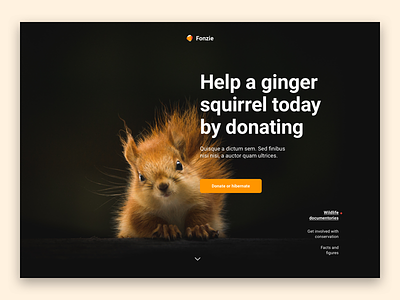 Header experimentation dark header homepage layout squirrel