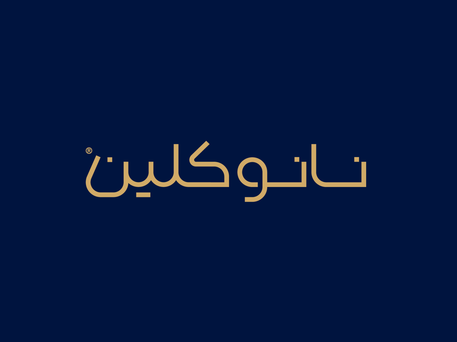Nano Clean Logo Design | Persian | 2020 by Tayyari on Dribbble