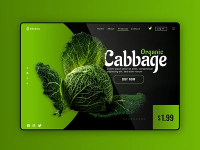 Landing Page - concept cabbage coder coders css dailyui developer graphic design html interface landign page ui ui ux user experience user interface ux visiva web design web designer website