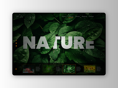 Explore the nature concept design for website