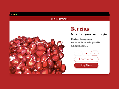 Pomegranate WebDesign design macbook pomegranate sketch ui ux web design