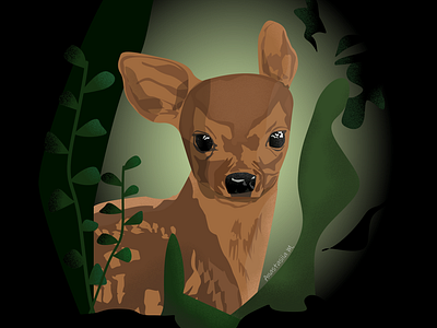 Fawn's illusration