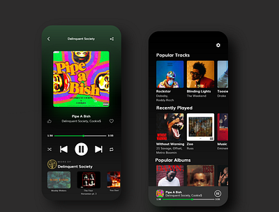 Simple Music Media Player app design application visual design