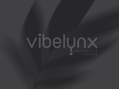 Vibelynx brand identity branding logo typography