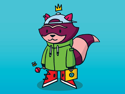 racoon