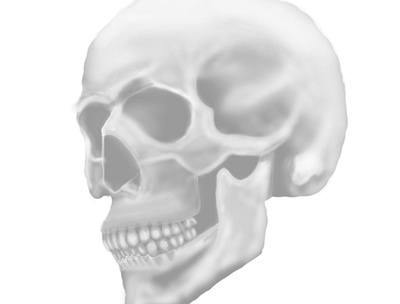 draw head skull art design illustration instagram post logo photoshop vector