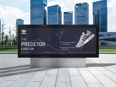 Adidas Advertisement 2