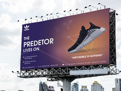 Adidas Advertisement 5