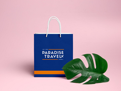 Brand Identity - 5 / Carry Bag