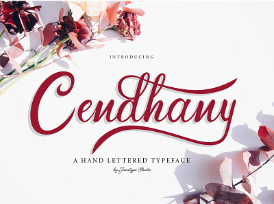 Cendhany A Hand-Letterred Typeface apparel branding brush calligraphy elegant font graphic handwritten handwritting lettering logo logotype minimalist modern poster script signature font typeface typography wedding invitation