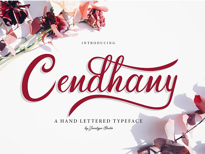 Cendhany A Hand-Letterred Typeface background beautiful calligraphy card design handwritten handwritting heart holiday love romantic valentine