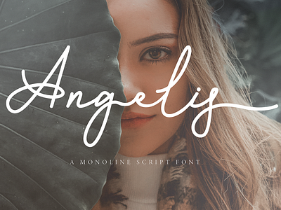 Angelis A Monoline Script Font