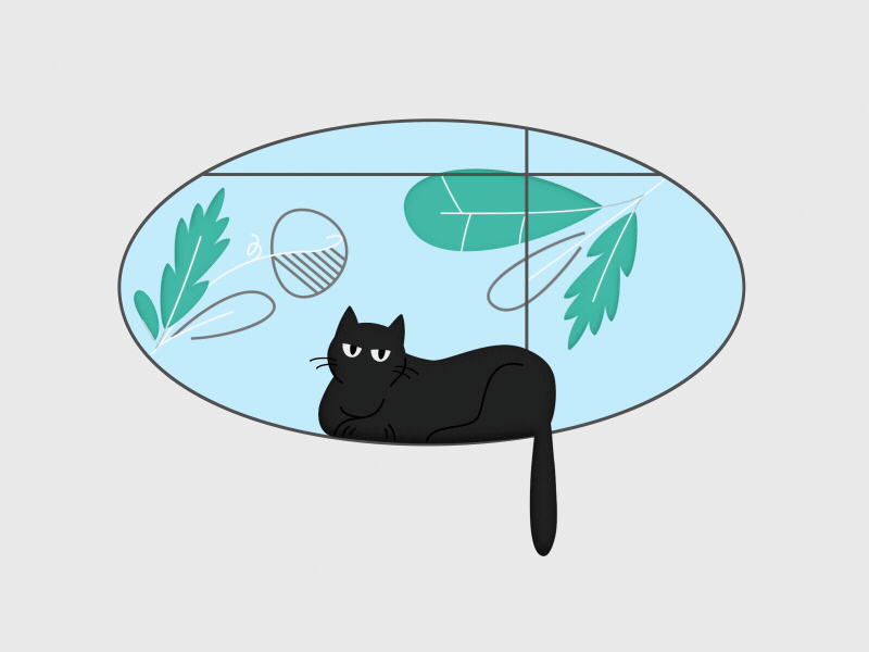 Chooni by the window GIF after effects aftereffects animation black cat bug cat design illustration mosquito pet window